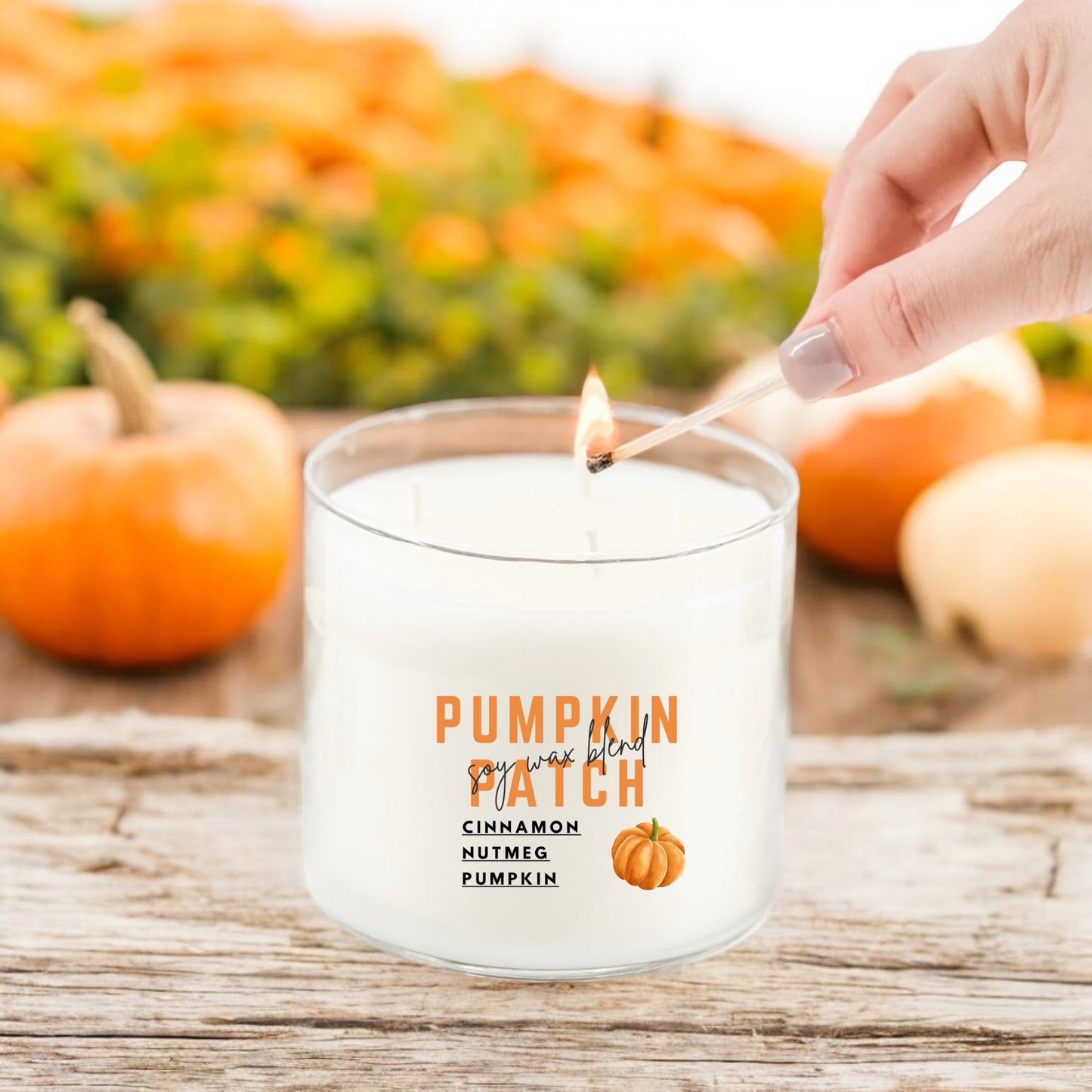 Pumpkin Patch 3-Wick Candle