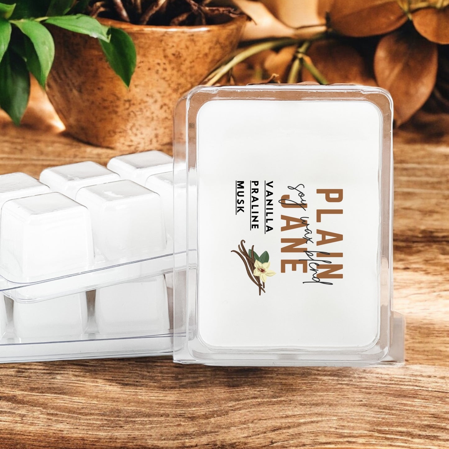 Plain Jane Wax Melts