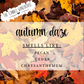 Autumn Daze 16 oz Candle