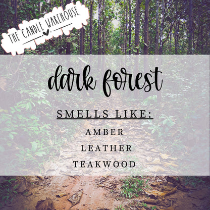 Dark Forest 4 oz Candle
