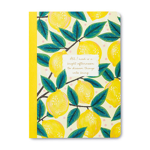 All I Need Is A Bright Afternoon Notebook